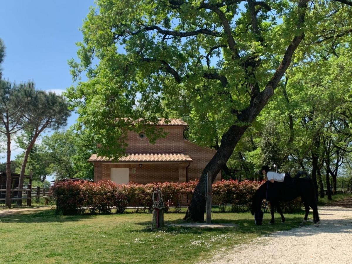 Casina Miriano Villa Castiglione del Lago Eksteriør billede