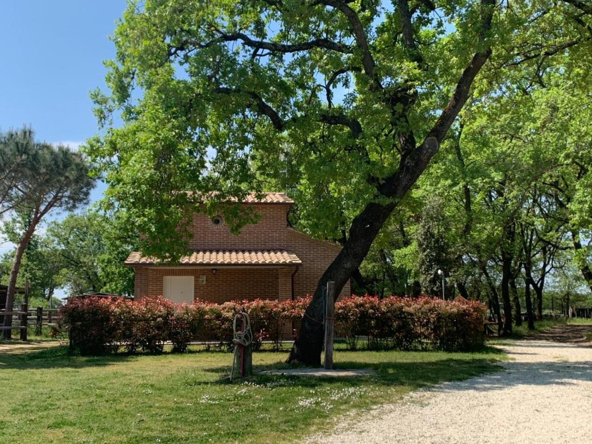 Casina Miriano Villa Castiglione del Lago Eksteriør billede